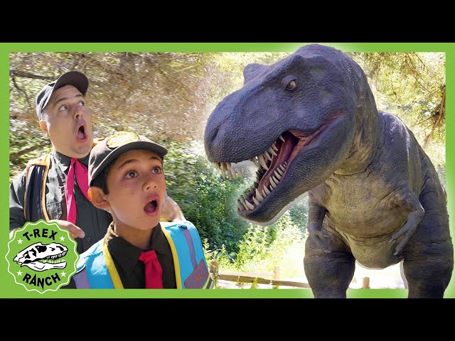 NEW! The Big Santa Barbara Skeleton Search | T-Rex Ranch Dinosaur Videos