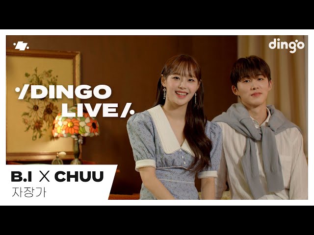 [#딩고라이브] 비아이(B.I) X 츄(chuu) ‘자장가’ | 딩고뮤직 | Dingo Music