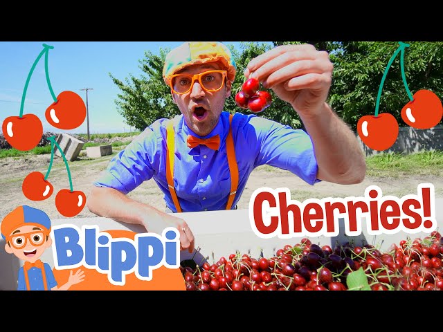 Blippi Visits a Cherry Farm! | Blippi Full Episodes | Healthy Eating for Children | Blippi Toys