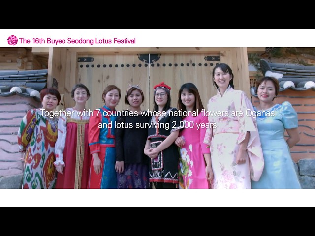 16th Buyeo Seodong Lotus Festival  PR video (english)