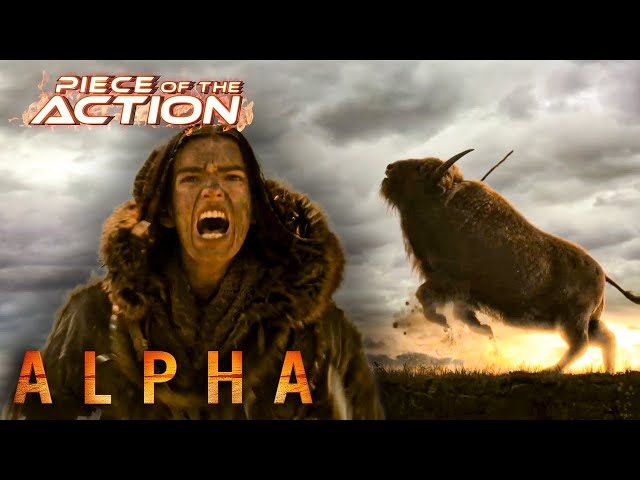 Alpha | Keda Gets Charged By A Bison