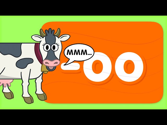 Learn to read words in the “oo” Word Family | Turn & Learn ABCs