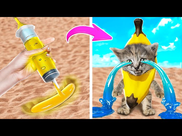 How to Take Care of Your Pet! Smart Gadgets and Hacks for Pet Owners! BANANA CAT