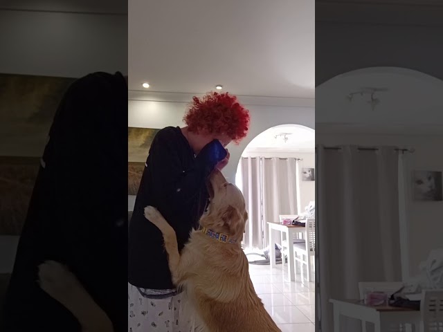 Marley the Service Dog Helps Woman With Autism Work Through Sensory Overload Attack