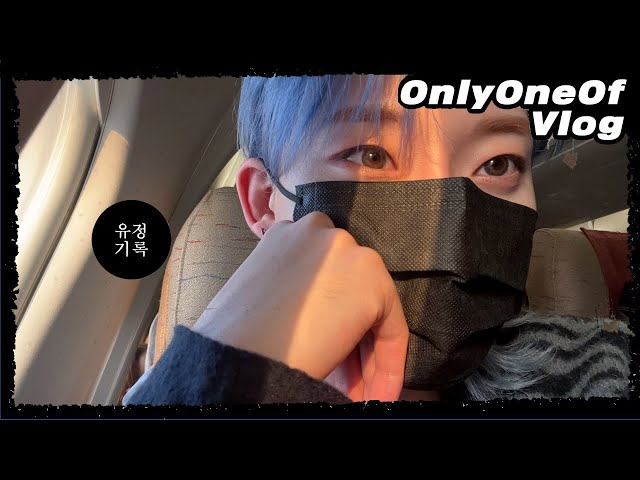 [Vlog] OnlyOneOf 유정기록 #13 | 도쿄 브이로그, 츠케멘, 텐동, What's in my  pouch