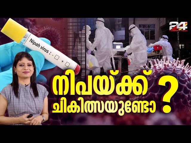 നിപ അറിയേണ്ടതെല്ലാം | Nipah Explainer | 24 News