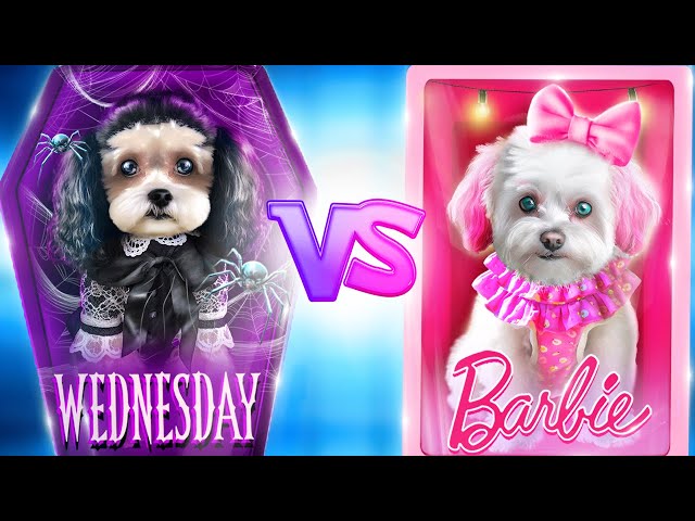 Wednesday Addams vs Barbie! Good vs Bad Secret Room for Pets!