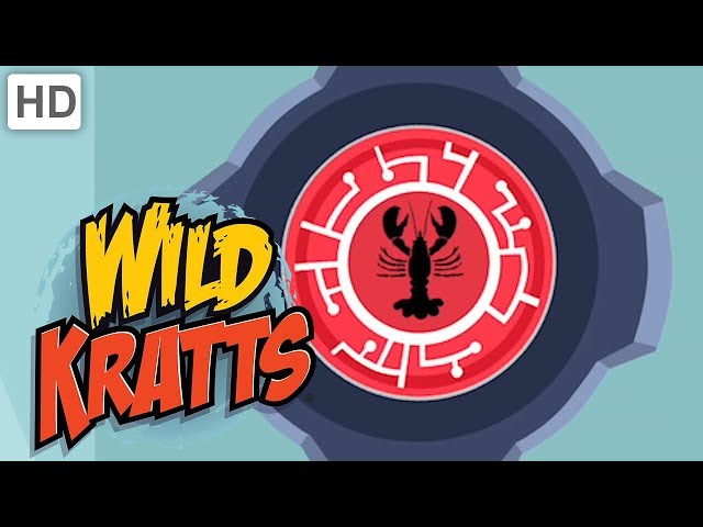🦀🐚 Wild Kratts - Creature Shells!