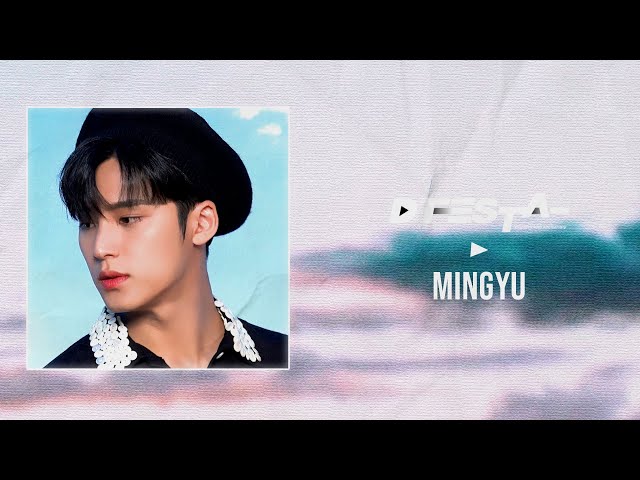 [D’FESTA] PHOTOBOOK PREVIEW | MINGYU(SVT)