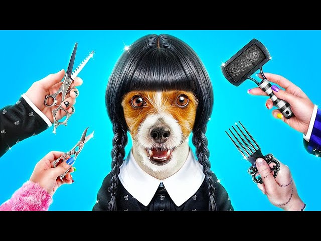 Wednesday Addams vs Enid! Extreme Makeover Pets!