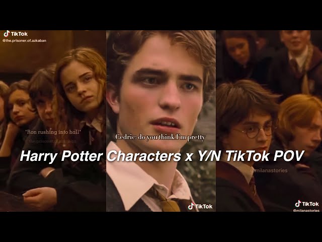 Harry Potter characters x Y/N TikTok POV