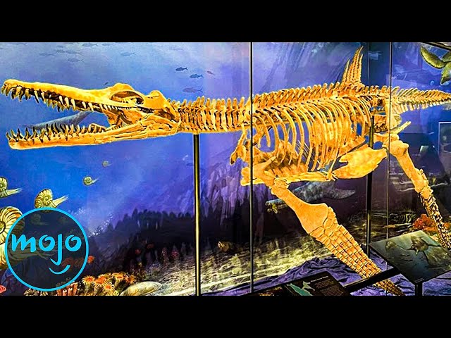 Top 10 Greatest Dinosaur Discoveries Of All Time