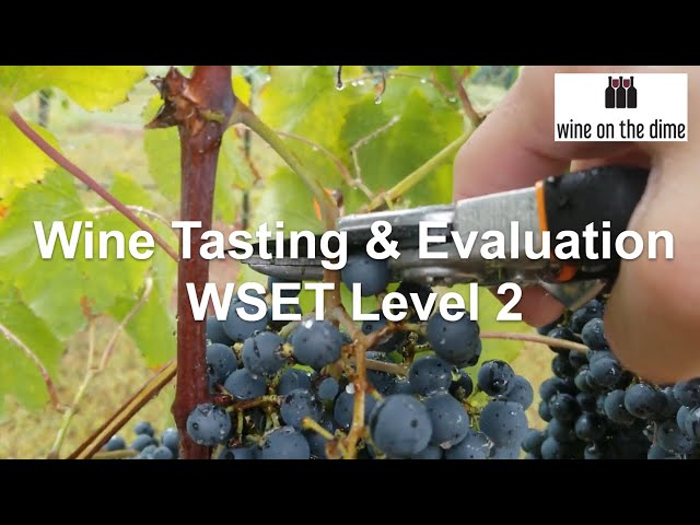 Wine and Spirit Education Trust (WSET) Level 2 Quiz - Wine Tasting & Evaluation
