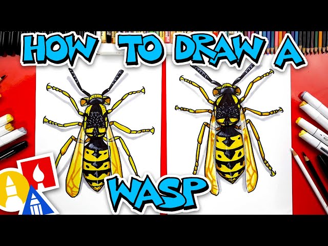 How To Draw A Realistic Wasp