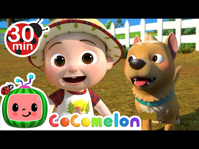 Bingo at the Farm! | CoComelon Furry Friends | Animals for Kids