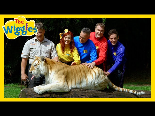 There Are So Many Animals! 🐅🦁🐒 Animals Songs for Kids with The Wiggles