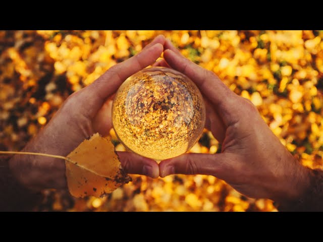 ContactBall in Fall - Meditation in Motion - Movement Medicine - Terence McKenna Dub Improvisation
