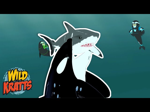 Creature Battles! | Every Creature Showdown Part 23 | New Compilation | Wild Kratts