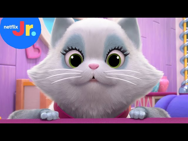 Fussy's Most Fabulous Moments! 😻 Princess Power | Netflix Jr