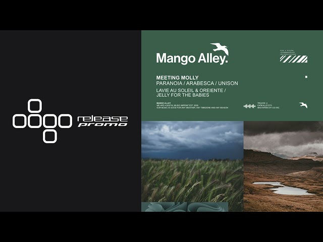 PREMIERE: Meeting Molly - Paranoia (Lavie Au Soleil & Oreiente Remix) [Mango Alley]