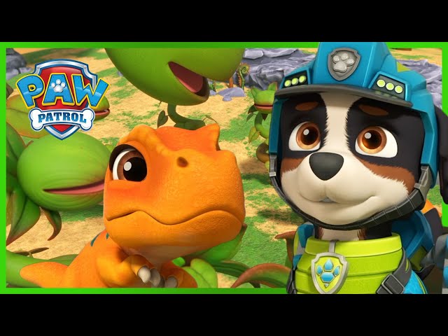 Pups Save a Baby T-Rex! - PAW Patrol Episode - Cartoons for Kids