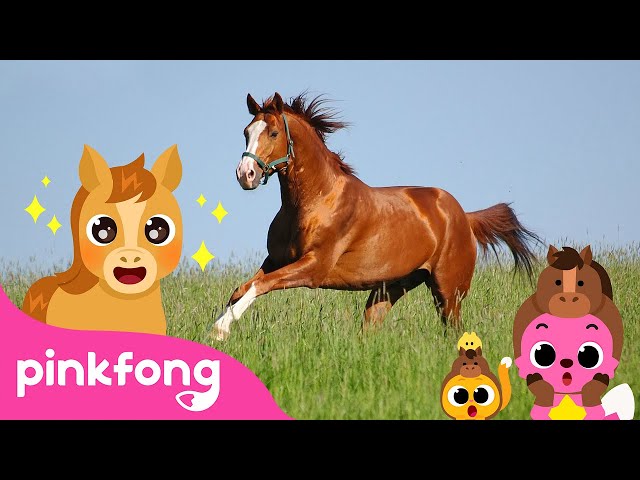 Baby Horse, Trot Trot | Baby Animals Songs | Pinkfong for Kids
