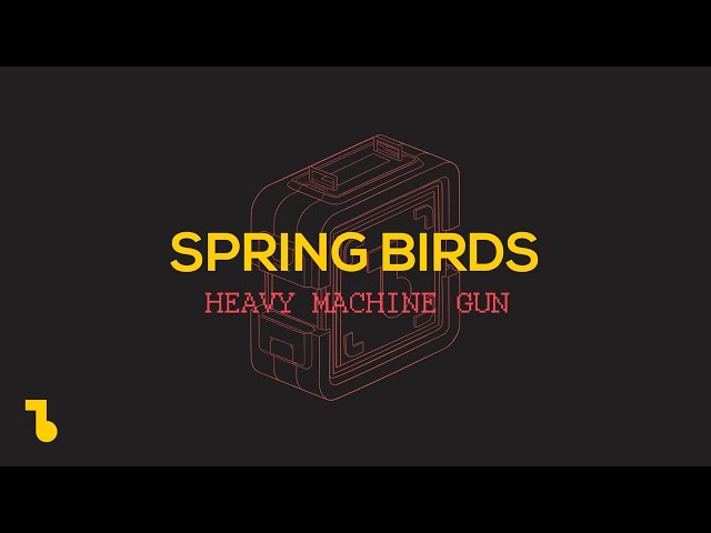 Bitonal Landscape - Spring Birds