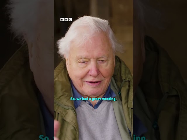 Sir David Attenborough telling Winterwatch about his FIRST British Wildlife documentary 🦊🐝