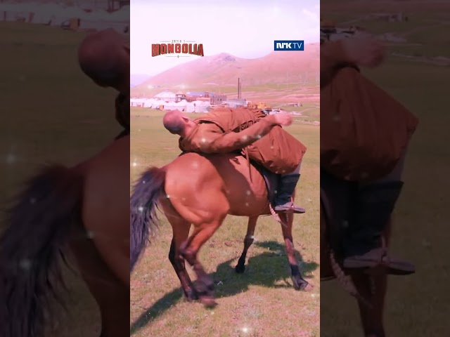 Hest er best! 🐎 Se «Jens i Mongolia» i #nrktv #nrk #shorts