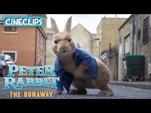 Peter Rabbit 2: The Runaway Trailer - James Corden, Domhnall Gleeson | Peter Rabbit 2 | CineClips