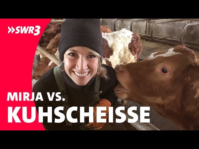 Zitzen, Stroh und lecken - Mirja VS Kuhstall Challenge | Folge 4 | SWR3