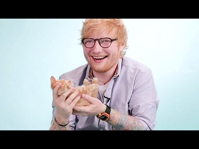 Ed Sheeran Plays With Kittens While Answering Fan Questions