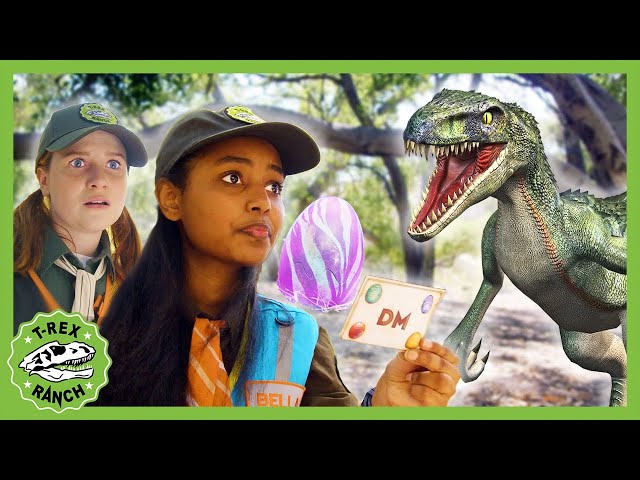 NEW! The Cool Down - T-Rex Ranch Jurassic Adventures