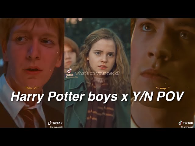 Harry Potter x Y/N TikTok POVs compilation (PT. 2)