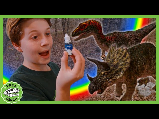 Search for the Baby Dinosaurs & Science Experiment! | T-Rex Ranch Dinosaur Videos for Kids