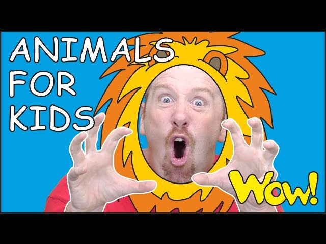 Animals for Kids and Mr. Sun NEW Story from Steve and Maggie for Children | Wow English TV