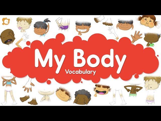 Body Parts for Kids - English Vocabulary - Kids Learning Videos