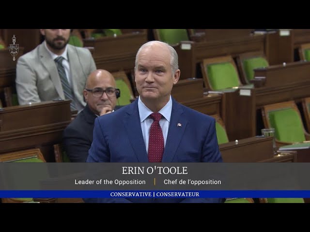 Erin O'Toole | Leader of the Conservative Party | Apology to Italian-Canadians
