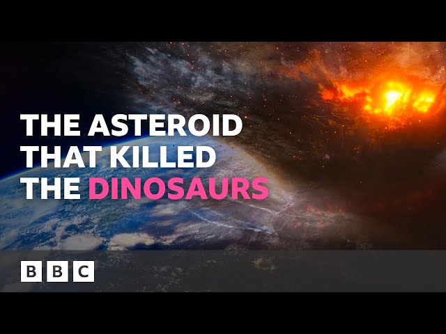 Can we see evidence of what killed the dinosaurs? 🦕 | Earth - BBC