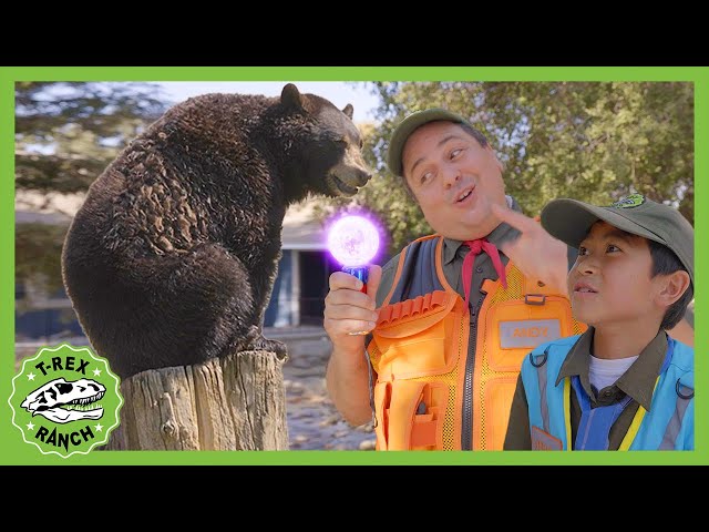 NEW! Andy & Asher's Animal Adventure | Animal SCAVENGER HUNT - | T-Rex Ranch Dinosaur Videos