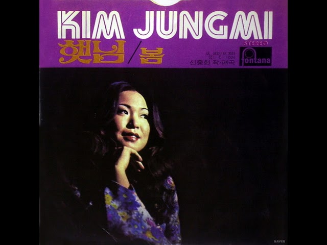 Kim Jung Mi -  The Sun