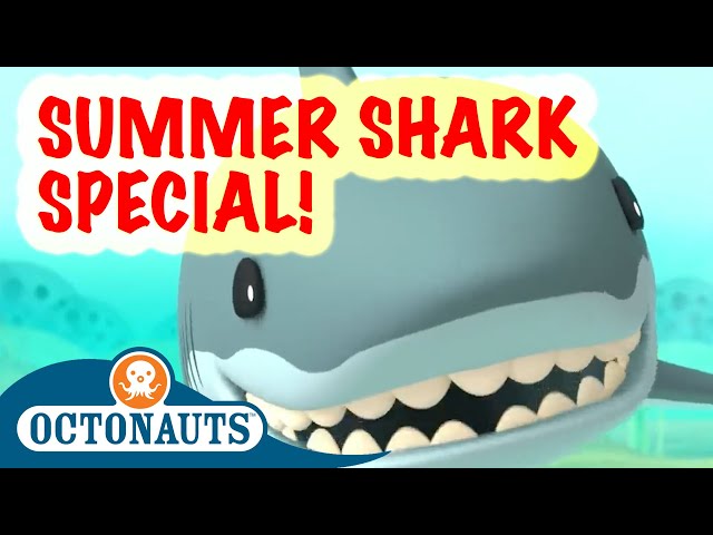 Octonauts - Shark Week Special! - The Most Powerful Creatures of the Sea | Cartoons for Kids
