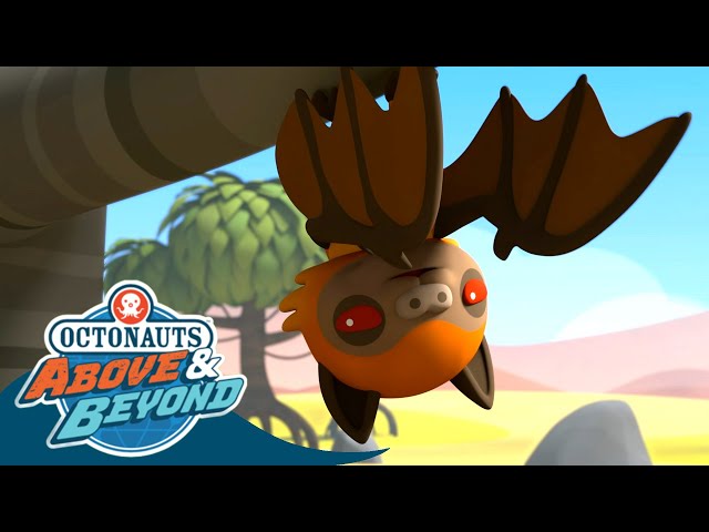 Octonauts: Above & Beyond - Dashi, Peso & the Extraordinary Fruit Bats 🦇 | Season 2 | @Octonauts​
