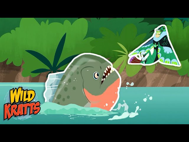 Chris Gets Attacked by Piranhas! | Cartoons for Kids | Wild Kratts