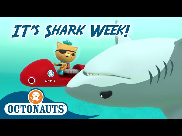 Octonauts - How to Tame a Great White Shark | Cartoons for Kids | It's Shark Week!