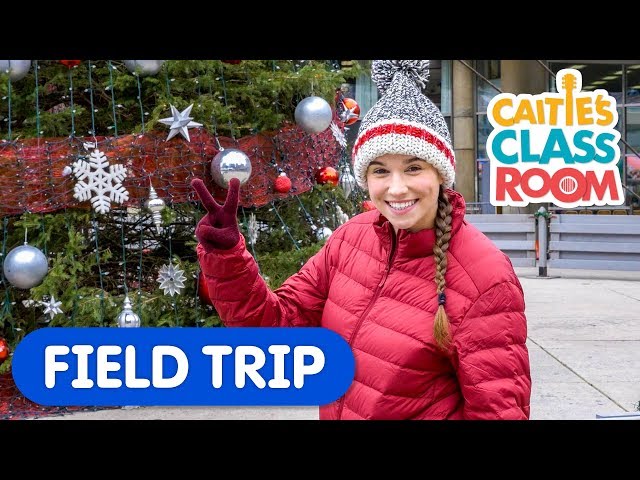 The Twelve Trees Of Christmas | Caitie's Classroom Field Trip | Counting Video For Kids