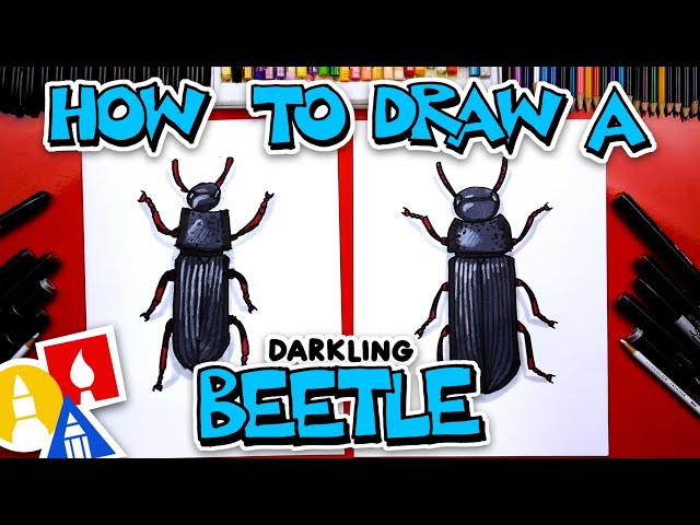 How To Draw A Darkling Beetle