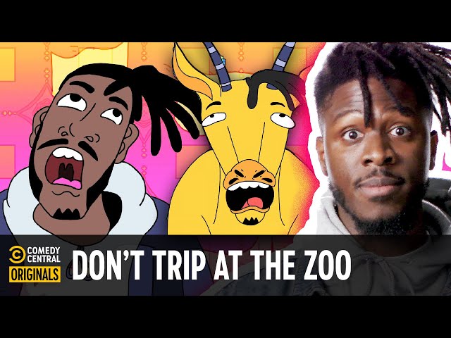 What Tripping at the Zoo Will Do to Your Sanity (ft. Opey Olagbaju) - Tales From the Trip