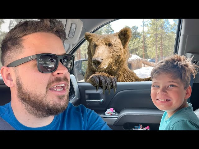 WE MET A BEAR ON OUR CROSS-COUNTRY ROAD TRIP!! (DAY 1)