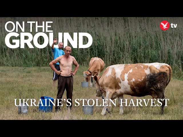 Russia's attempts to starve the world in Ukraine